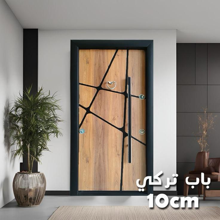 Modern Security Door